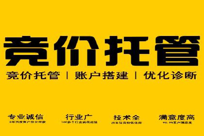 提升转化率的关键——网站sem托管的秘密